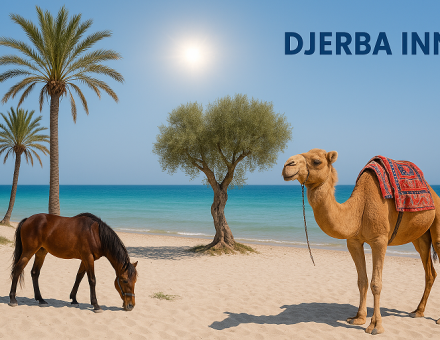 Djerba: How to Choose the Right Hotel for Your Type of Trip